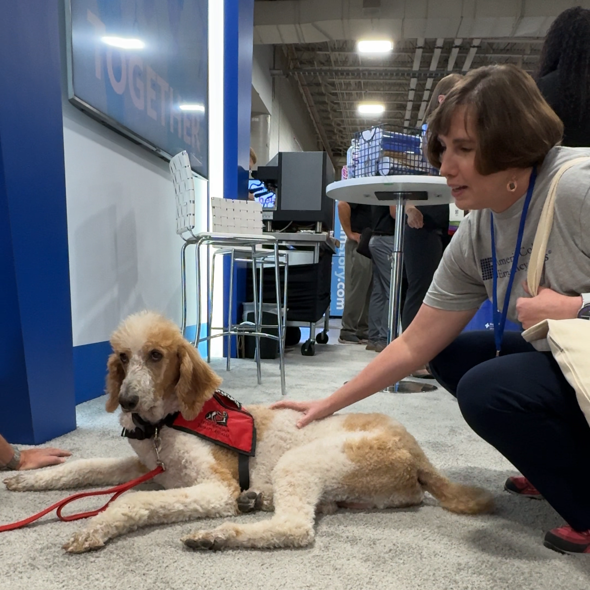 Therapy Dogs Dog2.png