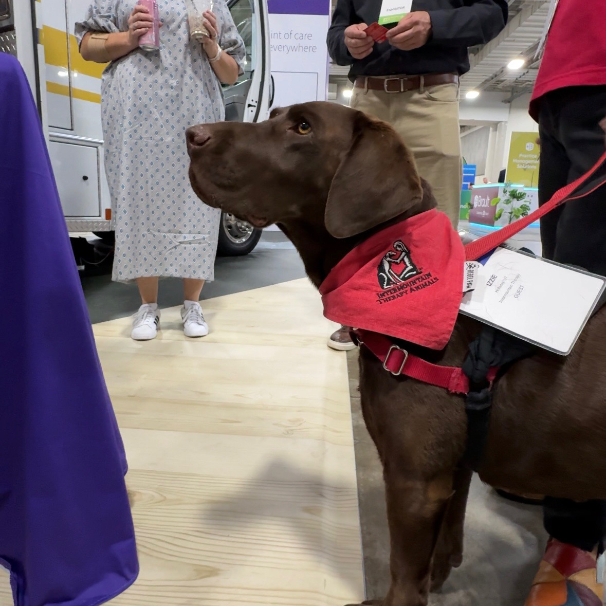 Therapy Dogs Dog3.jpg