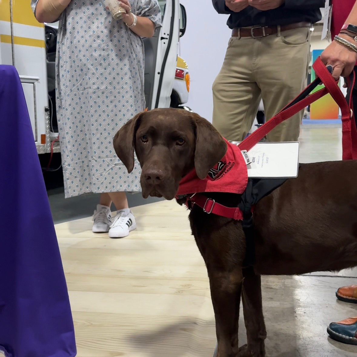 Therapy Dogs Dog4.jpg