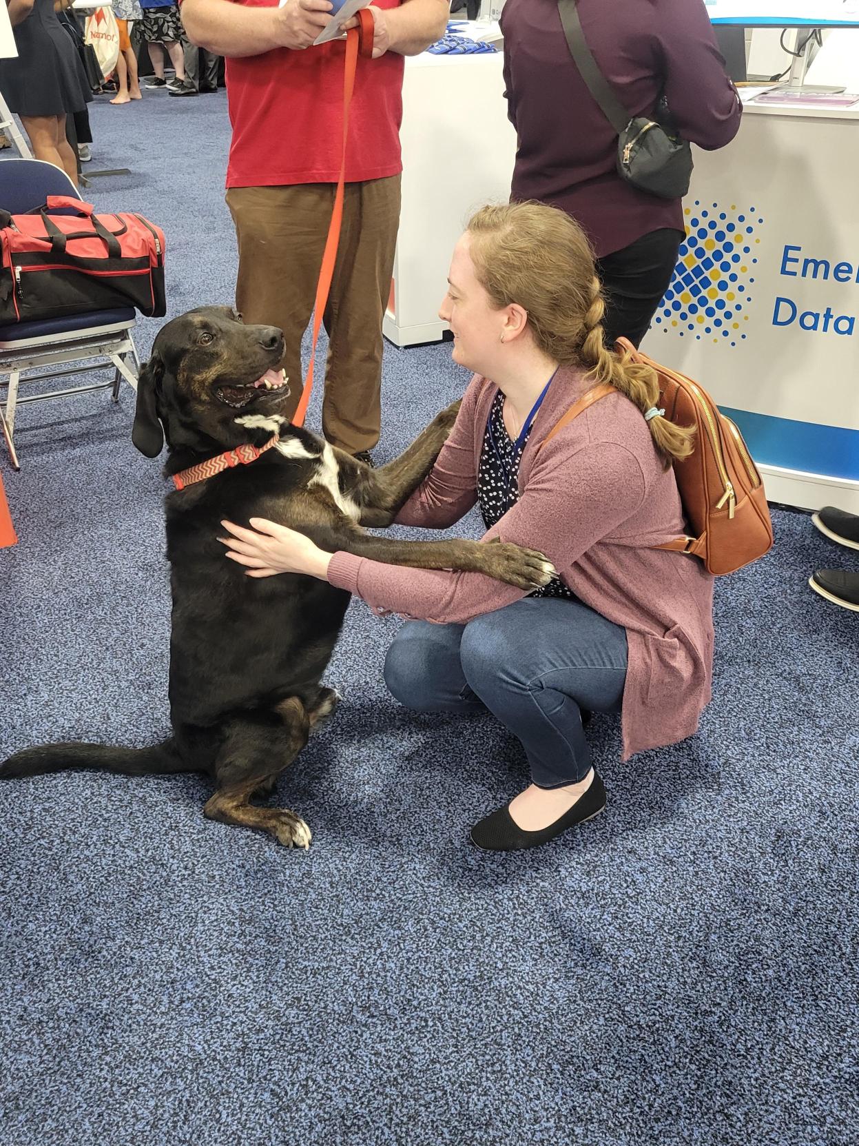Therapy Dogs